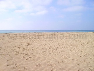 FOTO DELLA SPIAGGIA DI LIDO MARINI