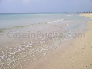 MARE DI LIDO MARINI