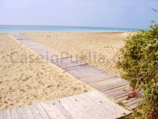 SPIAGGE LIDOMARINI