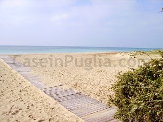 spiaggia Lido Marini