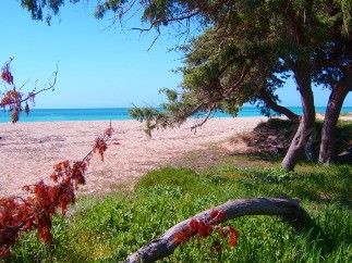 dune sabbiose di Lido Marini