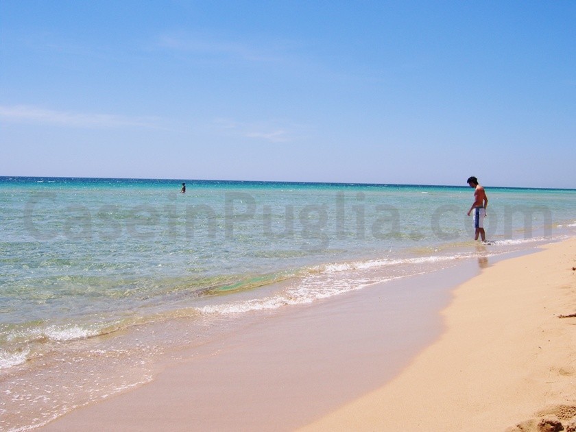 foto della spiaggia di lido marini