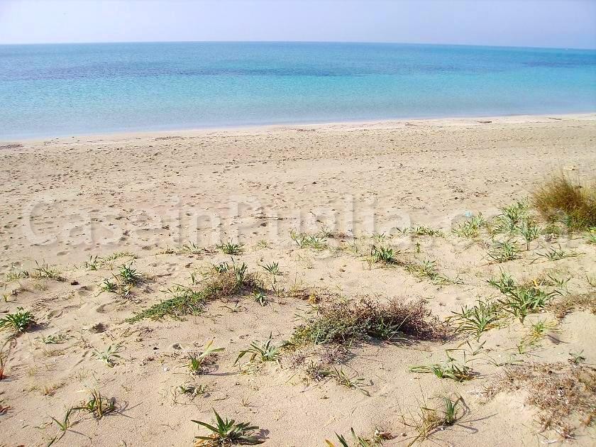 foto della spiaggia di lido marini
