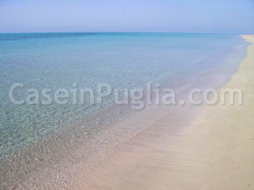 dune sabbiose di Lido Marini