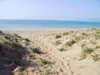 spiaggia fine e dorata di Torre Mozza