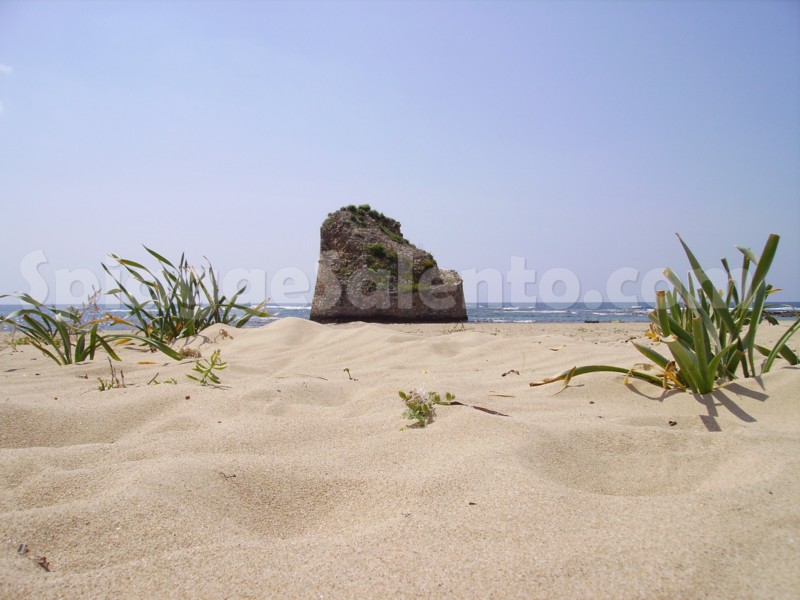 foto della spiaggia di lido marini