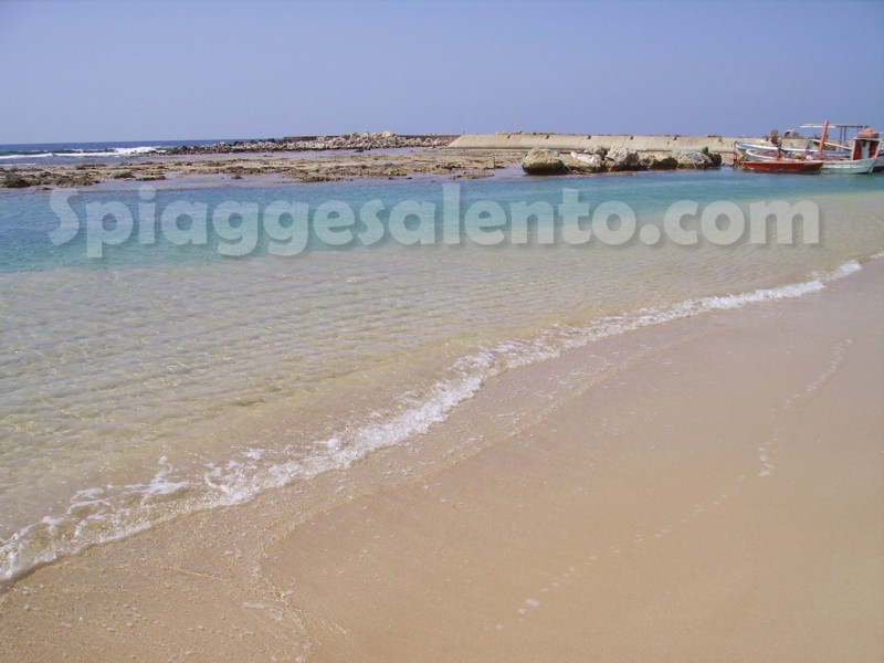 dune sabbiose di Lido Marini