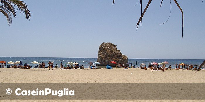 torre pali