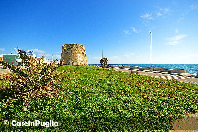 Torre Mozza, la torre cinquecentesca