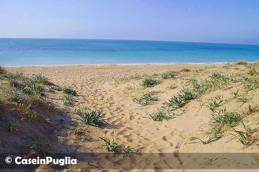 la spiaggia di Torre Mozza