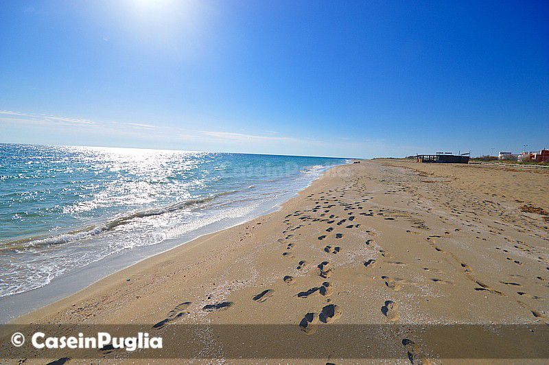 La spiaggia di sabbia fine di Torre Mozza in Puglia