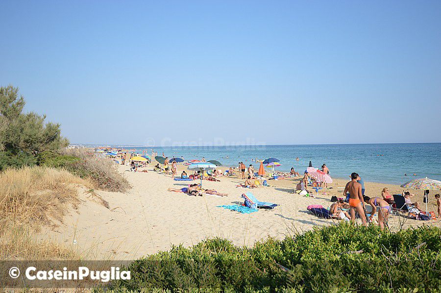 la spiaggia di Torre Pali