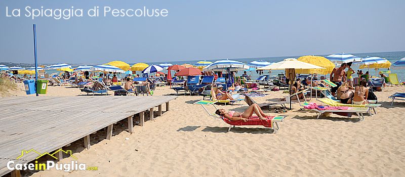 la spiaggia Marina di Pescoluse